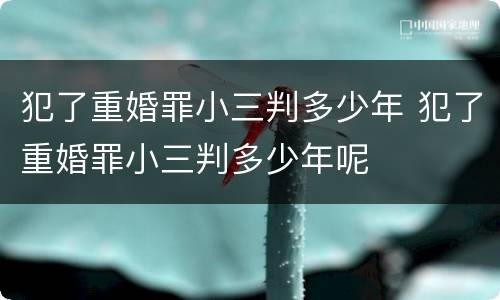 犯了重婚罪小三判多少年 犯了重婚罪小三判多少年呢