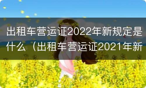 出租车营运证2022年新规定是什么（出租车营运证2021年新规定）