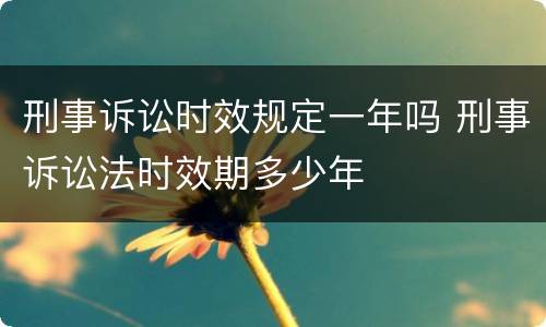 刑事诉讼时效规定一年吗 刑事诉讼法时效期多少年