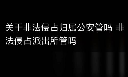 关于非法侵占归属公安管吗 非法侵占派出所管吗