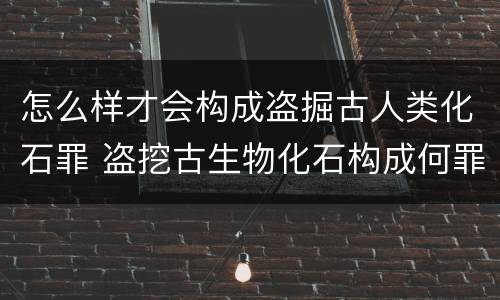 怎么样才会构成盗掘古人类化石罪 盗挖古生物化石构成何罪