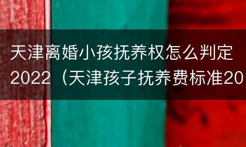 天津离婚小孩抚养权怎么判定2022（天津孩子抚养费标准2021多少钱一个月）