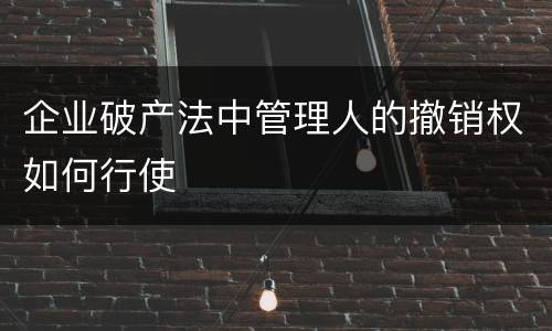 企业破产法中管理人的撤销权如何行使