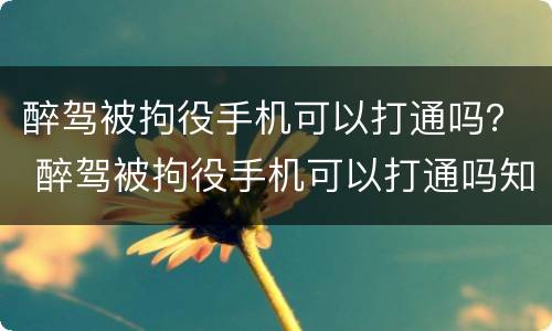 醉驾被拘役手机可以打通吗？ 醉驾被拘役手机可以打通吗知乎