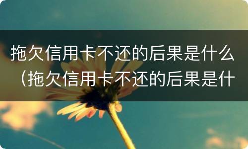 拖欠信用卡不还的后果是什么（拖欠信用卡不还的后果是什么样）