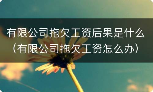 有限公司拖欠工资后果是什么（有限公司拖欠工资怎么办）
