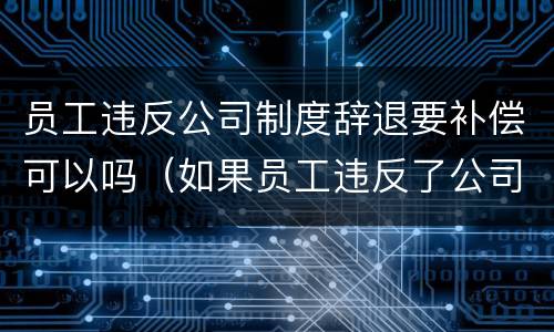 员工违反公司制度辞退要补偿可以吗（如果员工违反了公司的制度,怎么处理）