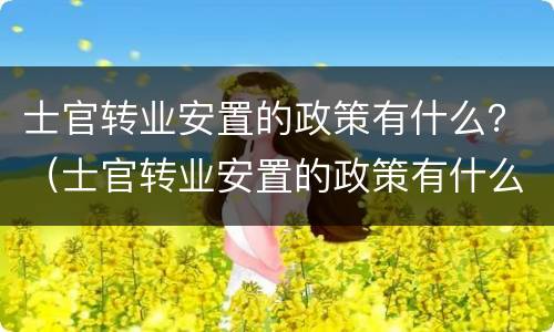 士官转业安置的政策有什么？（士官转业安置的政策有什么变化）