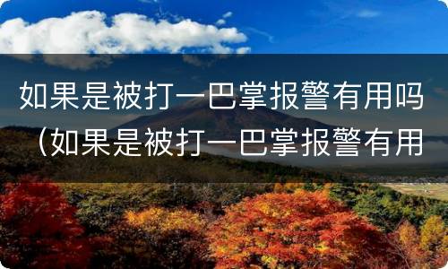 如果是被打一巴掌报警有用吗（如果是被打一巴掌报警有用吗）