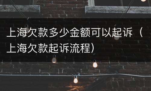 上海欠款多少金额可以起诉（上海欠款起诉流程）