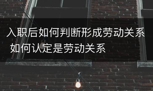 入职后如何判断形成劳动关系 如何认定是劳动关系