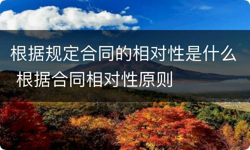 根据规定合同的相对性是什么 根据合同相对性原则