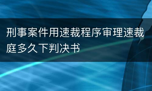 刑事案件用速裁程序审理速裁庭多久下判决书
