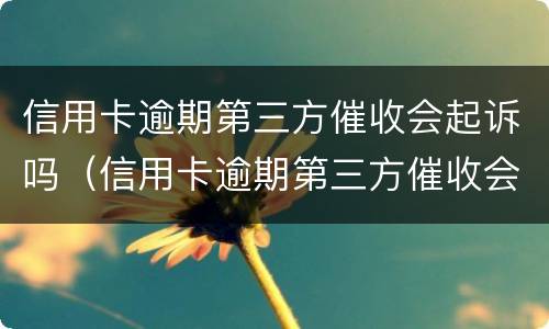 信用卡逾期第三方催收会起诉吗（信用卡逾期第三方催收会起诉吗）