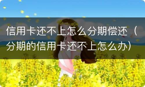 信用卡还不上怎么分期偿还（分期的信用卡还不上怎么办）