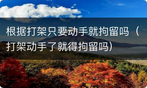 根据打架只要动手就拘留吗（打架动手了就得拘留吗）