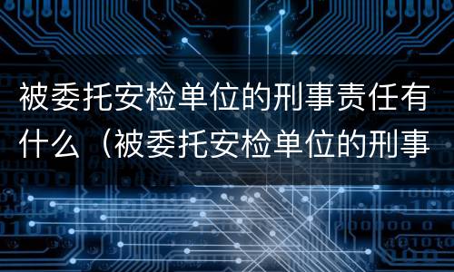 被委托安检单位的刑事责任有什么（被委托安检单位的刑事责任有什么后果）