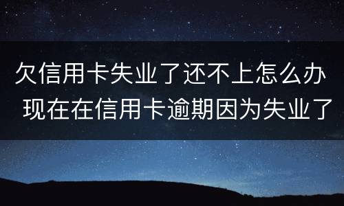 欠信用卡失业了还不上怎么办 现在在信用卡逾期因为失业了怎么办