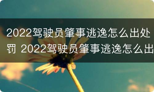 2022驾驶员肇事逃逸怎么出处罚 2022驾驶员肇事逃逸怎么出处罚决定书