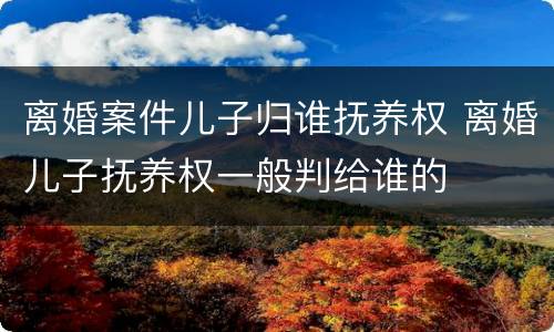 离婚案件儿子归谁抚养权 离婚儿子抚养权一般判给谁的