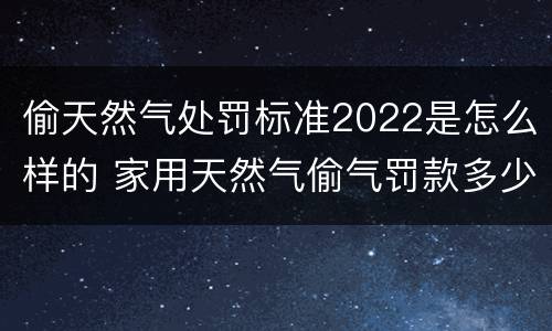 偷天然气处罚标准2022是怎么样的 家用天然气偷气罚款多少