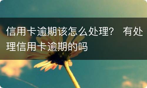信用卡逾期该怎么处理？ 有处理信用卡逾期的吗