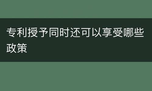 专利授予同时还可以享受哪些政策