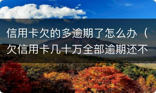 信用卡欠的多逾期了怎么办（欠信用卡几十万全部逾期还不了怎么办）