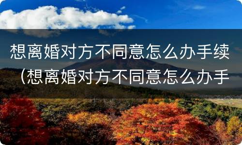 想离婚对方不同意怎么办手续（想离婚对方不同意怎么办手续流程）