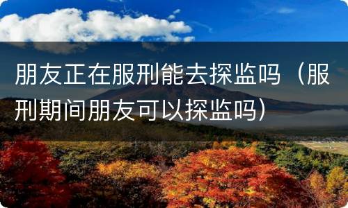 朋友正在服刑能去探监吗（服刑期间朋友可以探监吗）