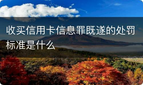 收买信用卡信息罪既遂的处罚标准是什么