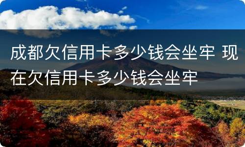 成都欠信用卡多少钱会坐牢 现在欠信用卡多少钱会坐牢