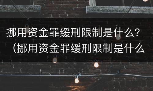 挪用资金罪缓刑限制是什么？（挪用资金罪缓刑限制是什么情形）