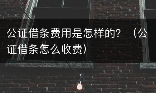 公证借条费用是怎样的？（公证借条怎么收费）