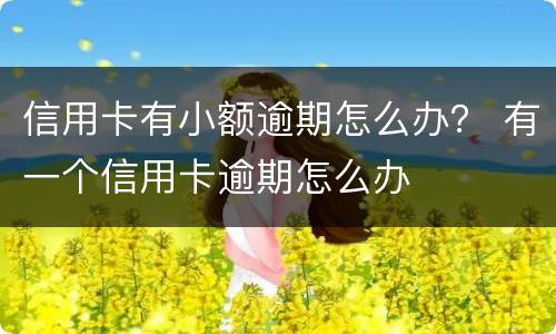 信用卡有小额逾期怎么办？ 有一个信用卡逾期怎么办