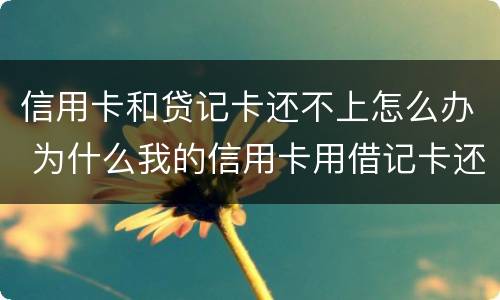 信用卡和贷记卡还不上怎么办 为什么我的信用卡用借记卡还不了款