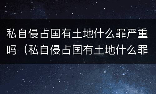 私自侵占国有土地什么罪严重吗（私自侵占国有土地什么罪严重吗判多少年）