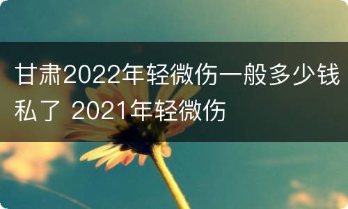 甘肃2022年轻微伤一般多少钱私了 2021年轻微伤