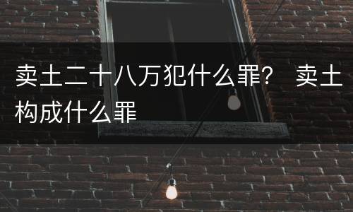 卖土二十八万犯什么罪？ 卖土构成什么罪