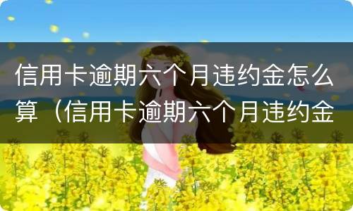 信用卡逾期六个月违约金怎么算（信用卡逾期六个月违约金怎么算利息）