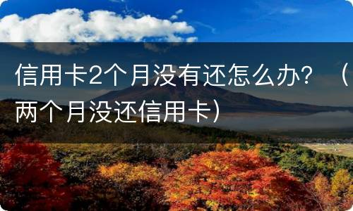 信用卡2个月没有还怎么办？（两个月没还信用卡）