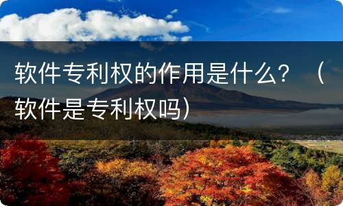 软件专利权的作用是什么？（软件是专利权吗）