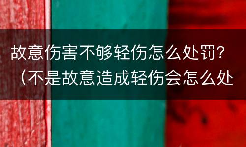 故意伤害不够轻伤怎么处罚？（不是故意造成轻伤会怎么处罚）
