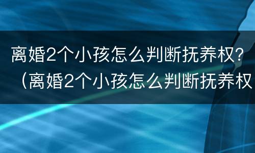 离婚2个小孩怎么判断抚养权？（离婚2个小孩怎么判断抚养权问题）