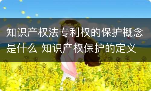 知识产权法专利权的保护概念是什么 知识产权保护的定义