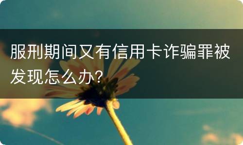服刑期间又有信用卡诈骗罪被发现怎么办？