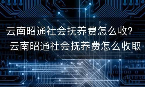 云南昭通社会抚养费怎么收？ 云南昭通社会抚养费怎么收取