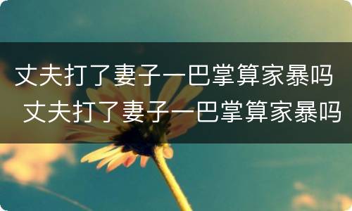 丈夫打了妻子一巴掌算家暴吗 丈夫打了妻子一巴掌算家暴吗判几年