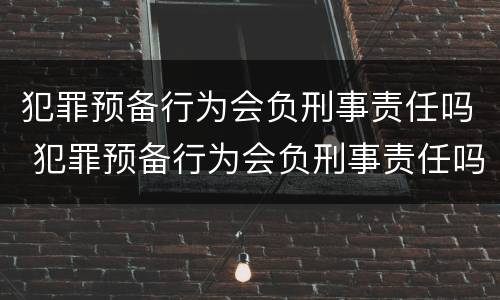 犯罪预备行为会负刑事责任吗 犯罪预备行为会负刑事责任吗