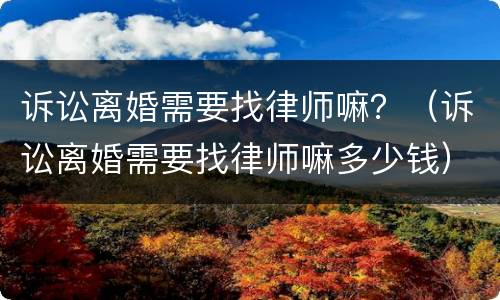 诉讼离婚需要找律师嘛？（诉讼离婚需要找律师嘛多少钱）